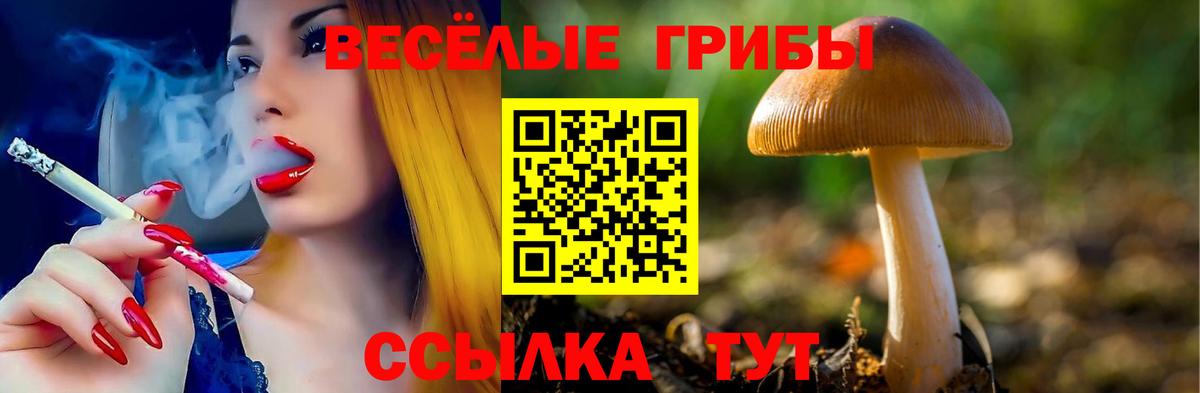 Феодосия  Псилоцибиновые грибы прущие грибы  Вход с VPN 